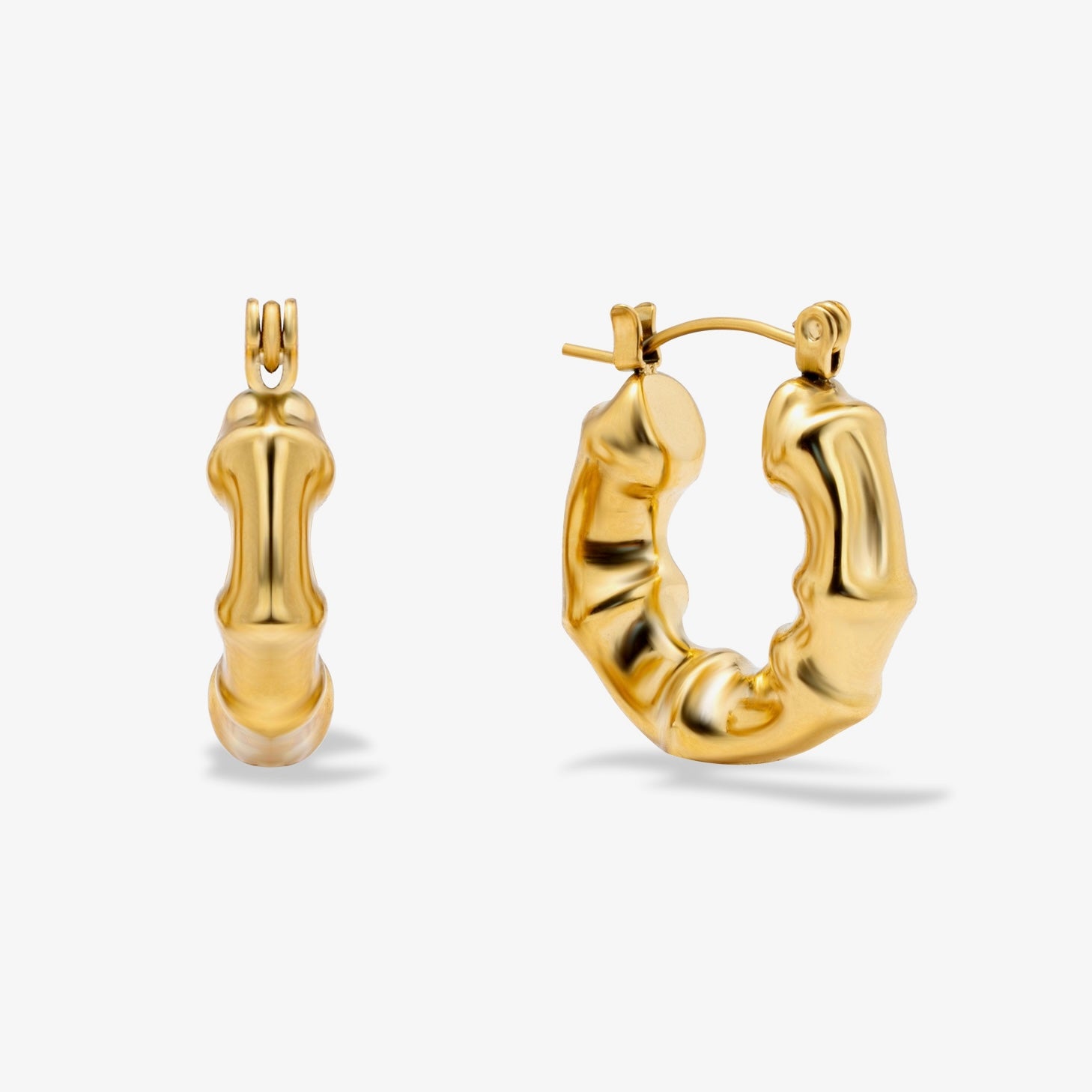 Splendid Hoops Orecchini