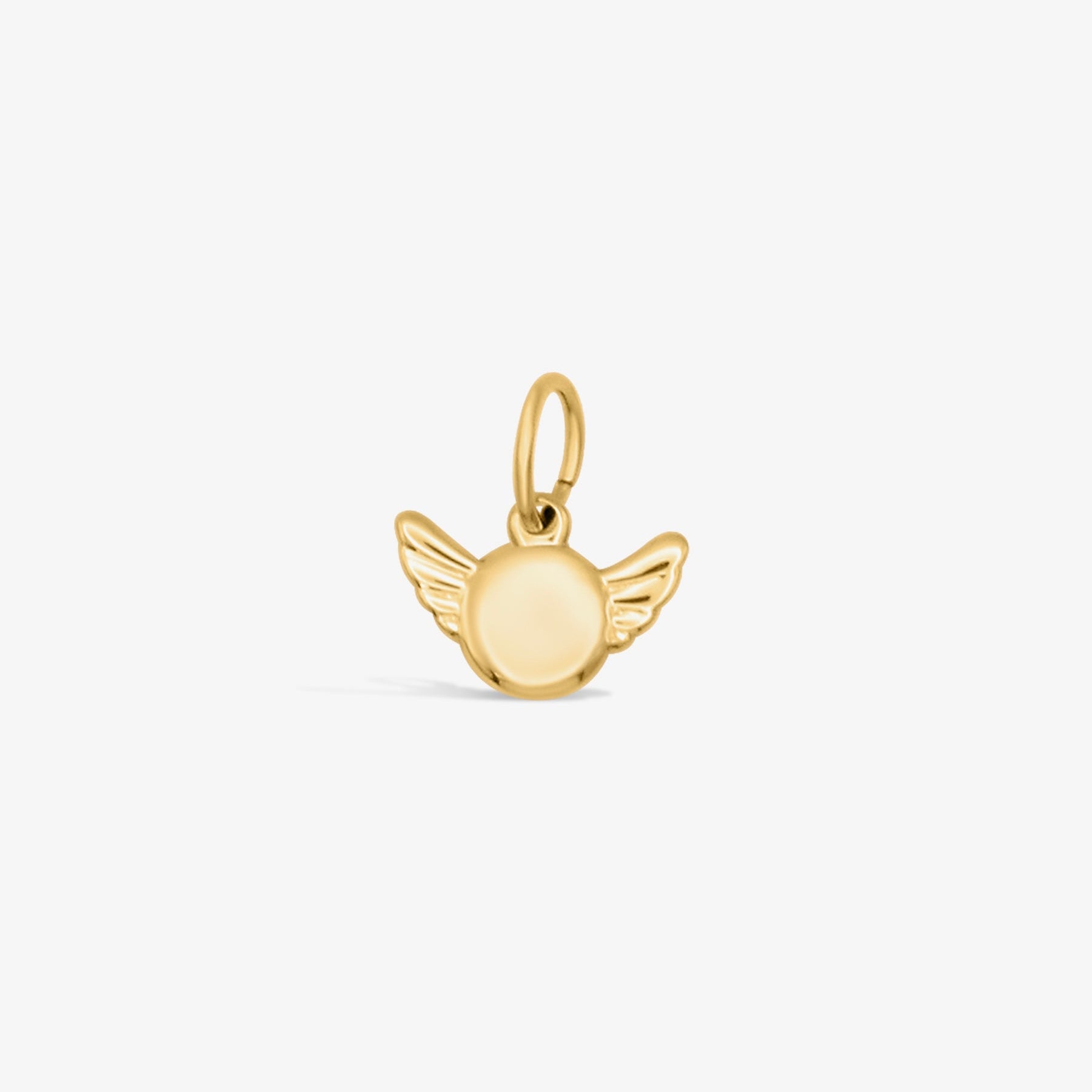 Guardian Wings Charm