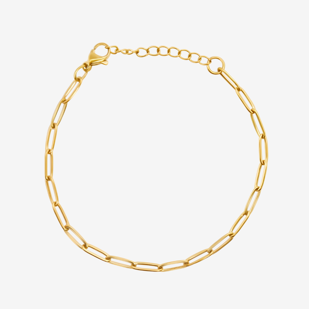 Lunara Paperclip Fusskette