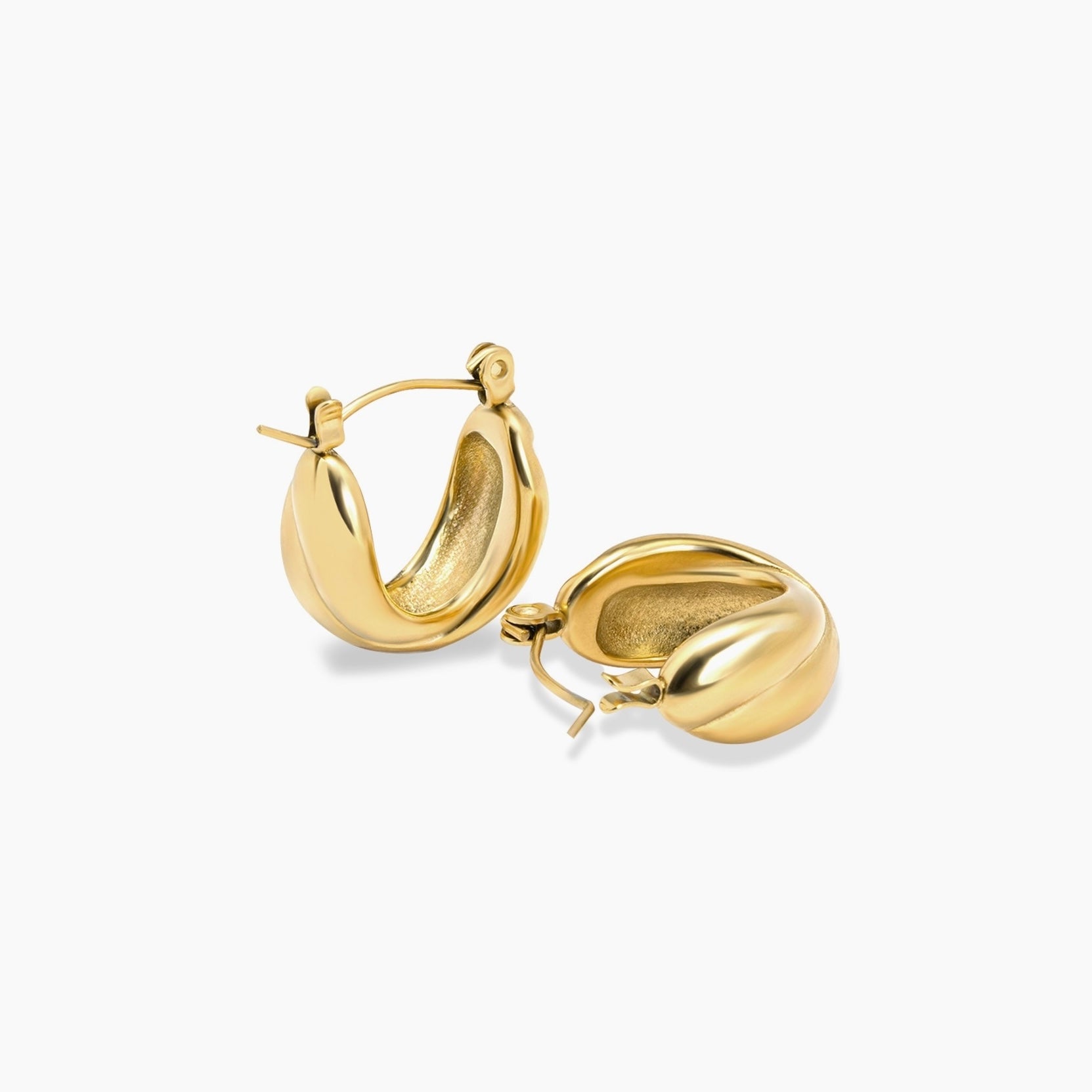 Double Hoops Earrings