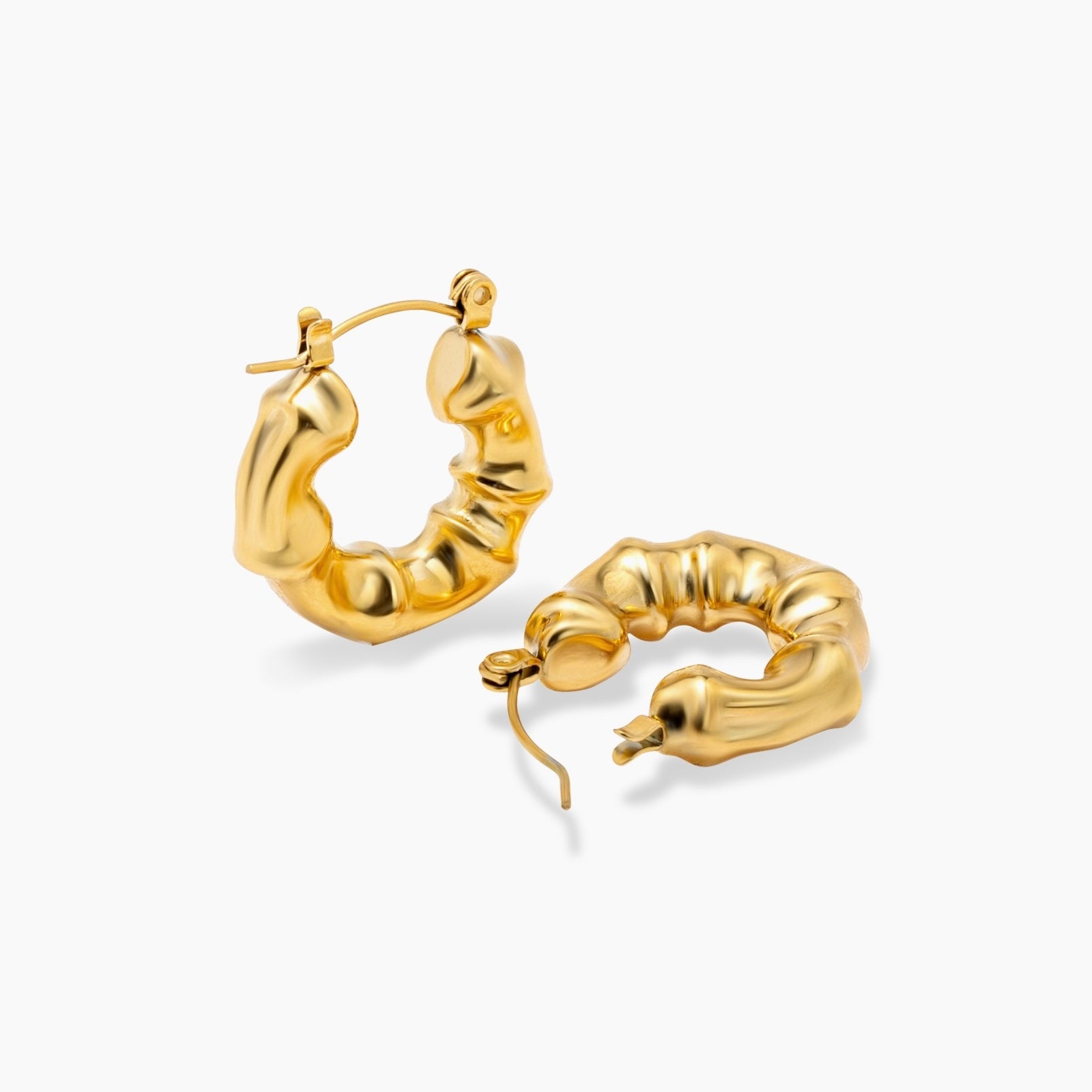 Splendid Hoops Orecchini