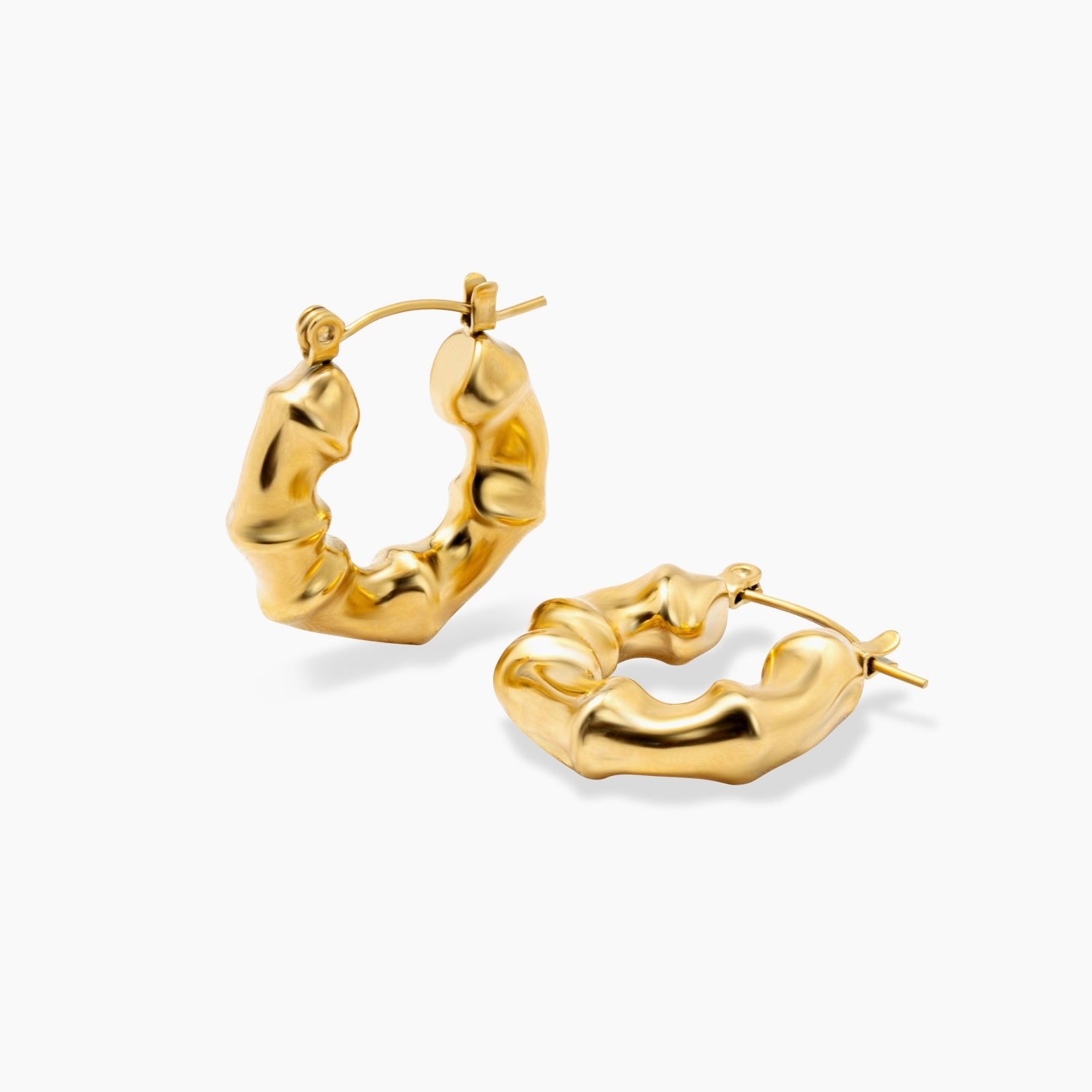 Splendid Hoops Orecchini